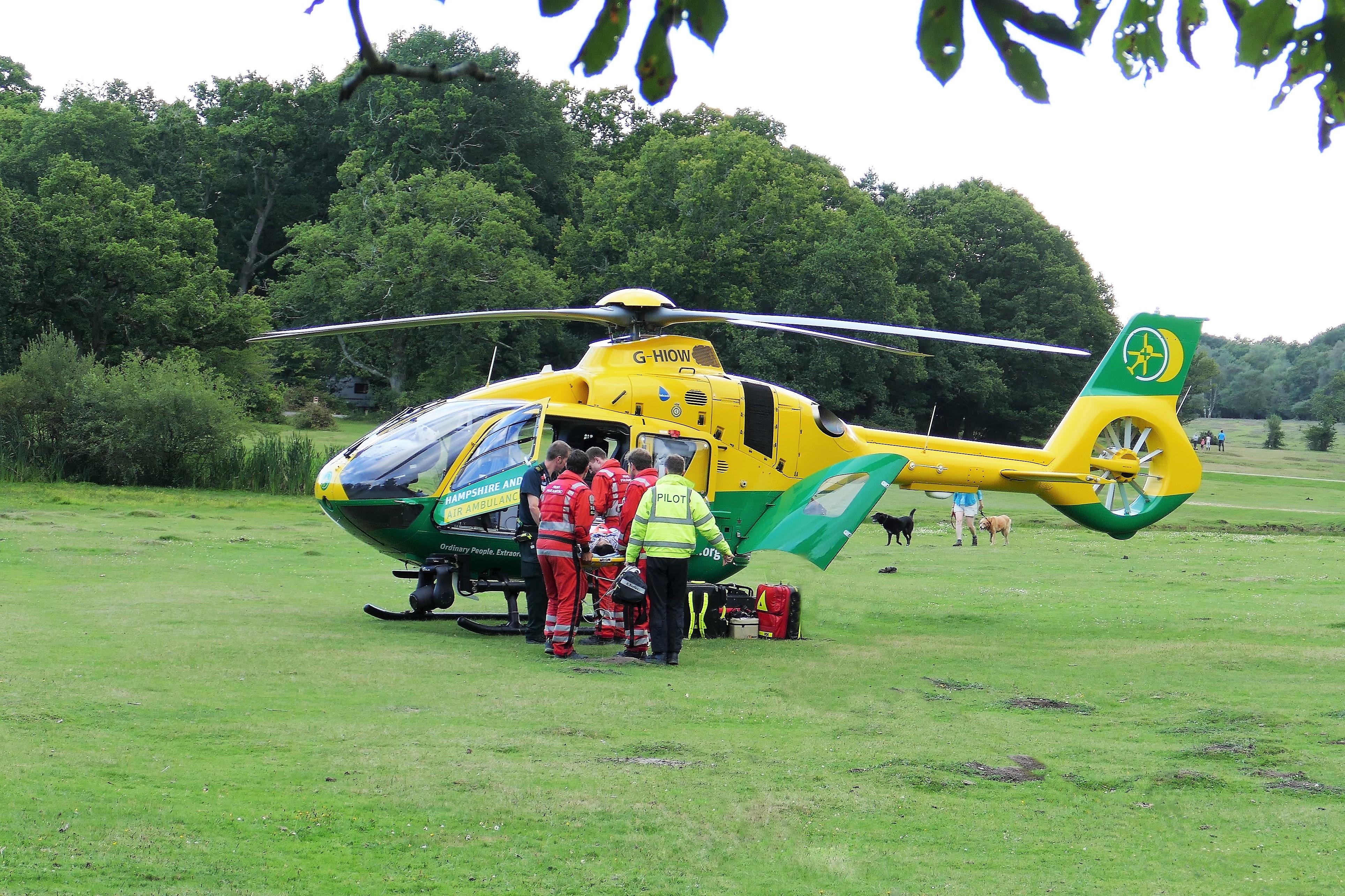 New Forest Rescue 1 by Sue Newport | Hampshire and Isle of Wight Air ...