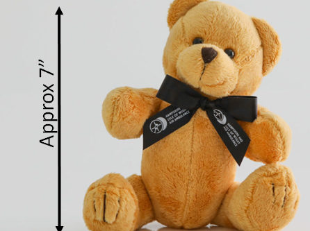 Teddy Medic bear